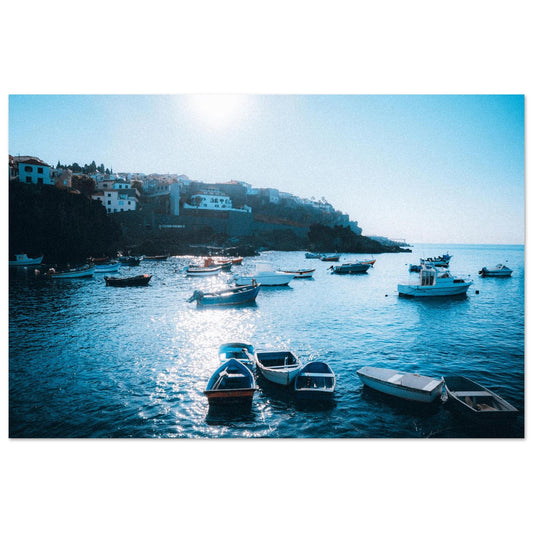 cae83636-c7e7-49f4-aae9-879fde589d05