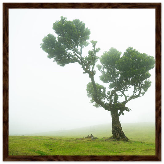 831cf345-eaee-40c0-9c58-0b7e806cca99