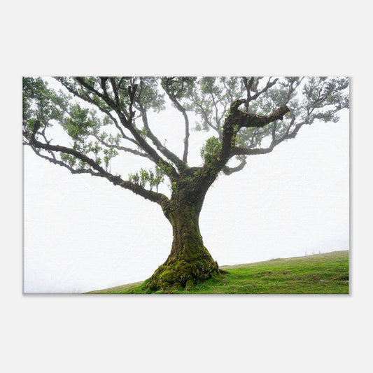 e200bd9d-9463-4122-9cbf-8c832f28bd5f